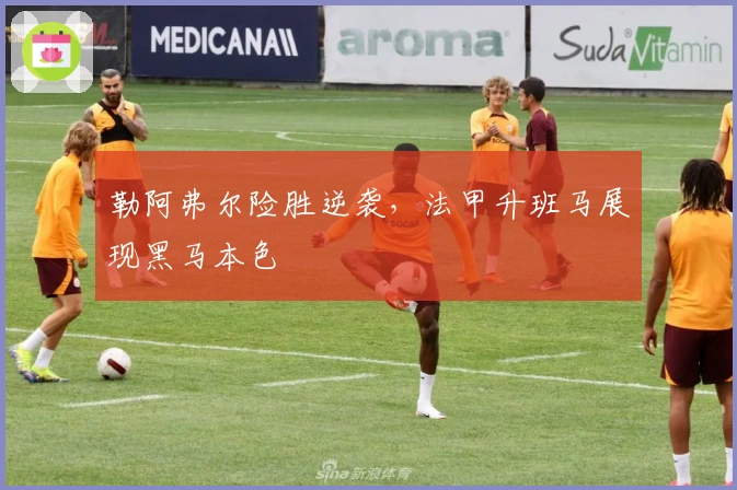 勒阿弗尔险胜逆袭，法甲升班马展现黑马本色