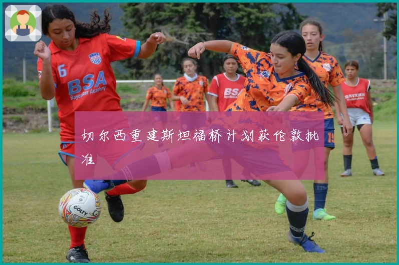 切尔西重建斯坦福桥计划获伦敦批准