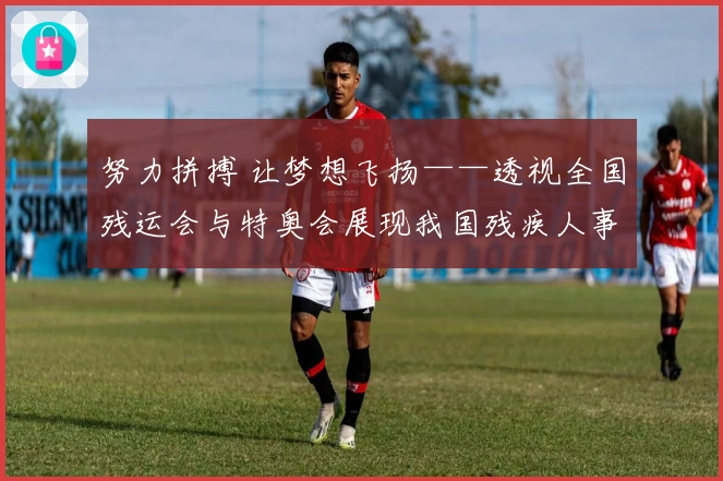 努力拼搏 让梦想飞扬——透视全国残运会与特奥会展现我国残疾人事业进步